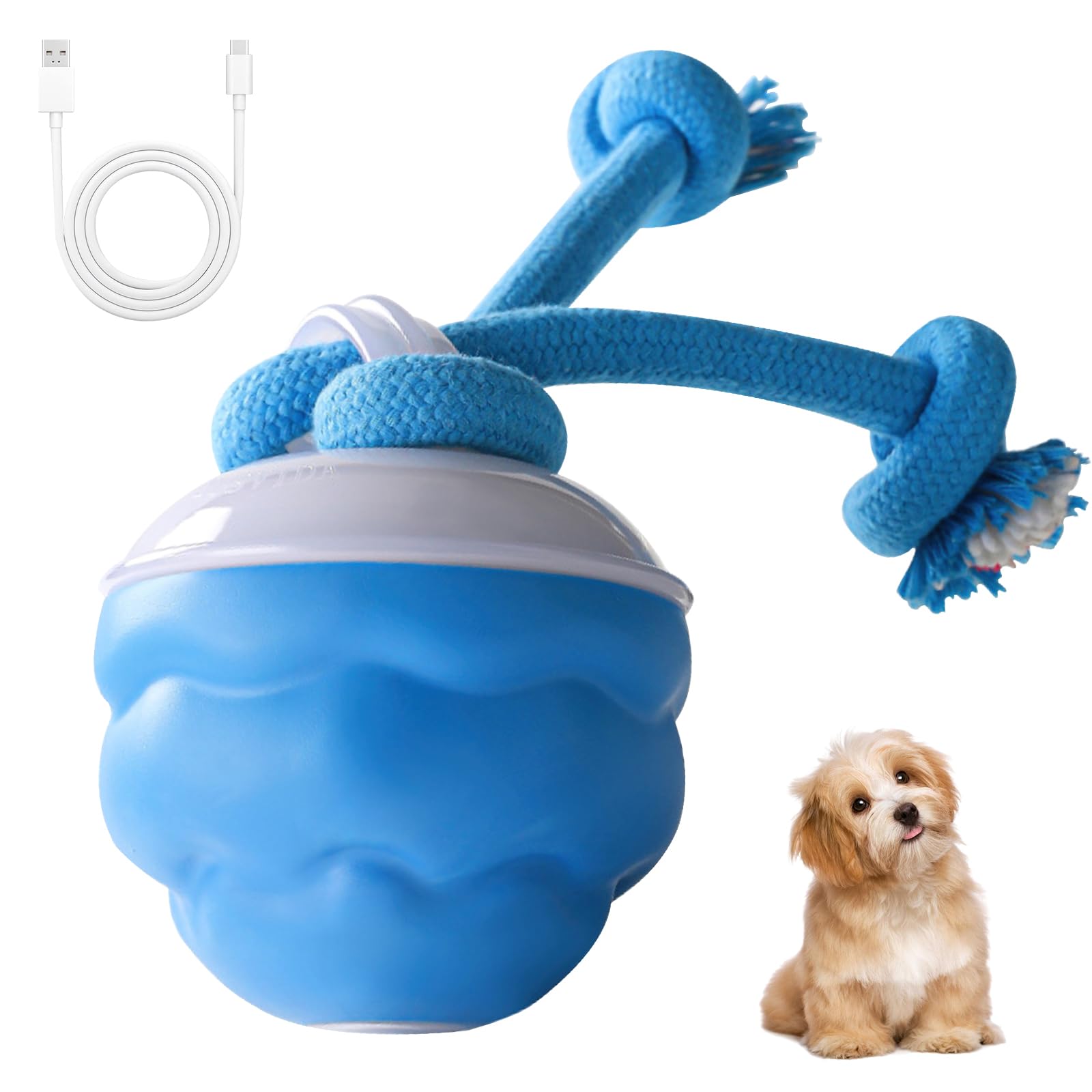 Cotgot Barkzys Powertail 2.0 Interactive Dog Toy, Automatic Rolling Ball With Squeaker, For Small Medium Large Dogs