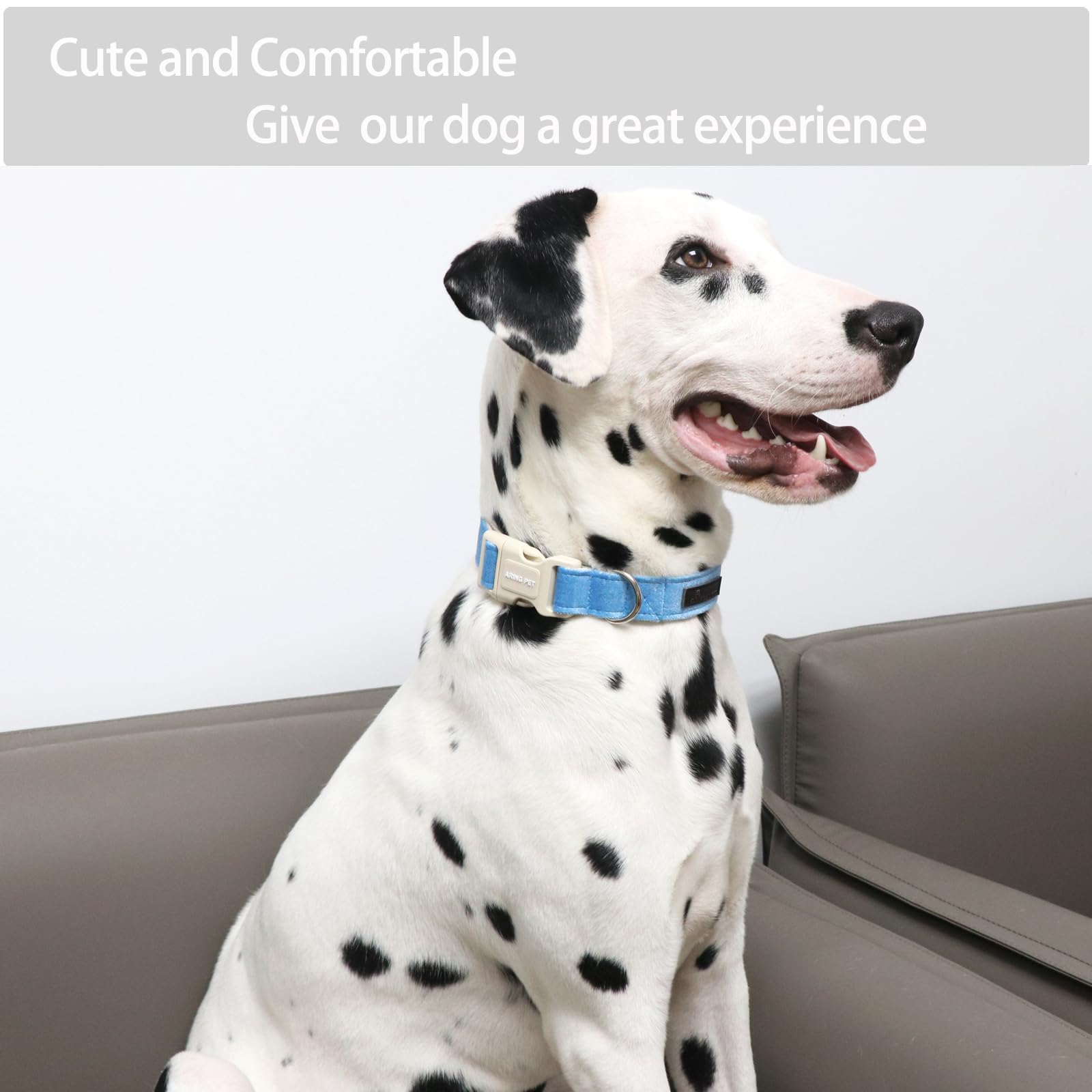 Aring Pet Dog Collar-Adjustable Cotton Small Dog Collars, Lightweight Comfortable Blue Pet Collars With Quick Release Buckle For