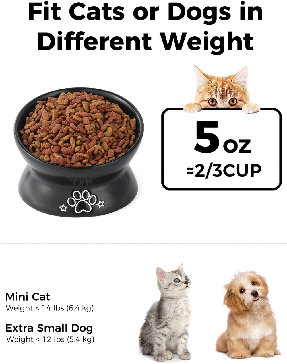 LoeJan Elevated Cat Food Bowl, 5 Oz Ceramic Raised and Tilted Water Bowl, Anti Vomiting and Protect Pets  Spines Dishes for Sma