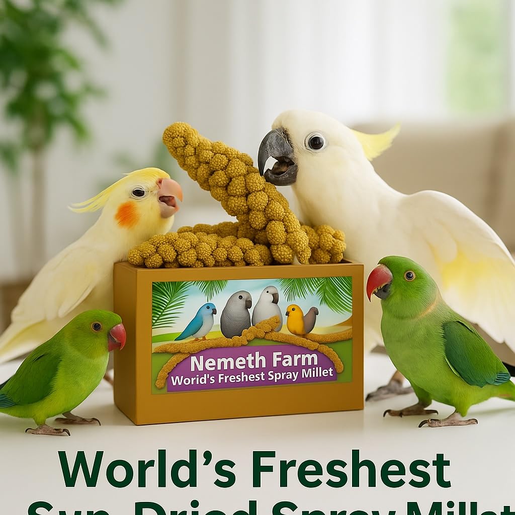 Nemeth Farms 25lbs Premium Spray Millet for Exotic Birds - Grown in The USA - 100% Natural & Non-GMO Bird Treat - Sun-Dried Mill