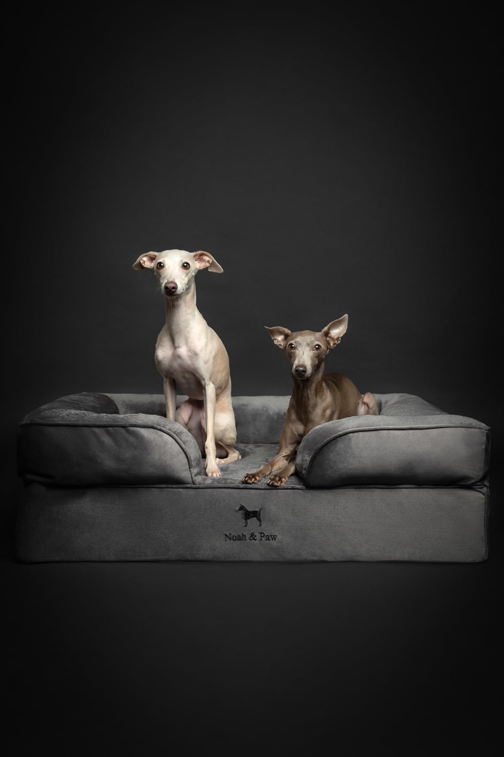 NOAH & PAW Large Dog Bed, 35x25x11 Inch, Orthopedic Dog Beds, Eggshell Memory Foam Infused with Cooling Gel, Inner Cover, Waterp