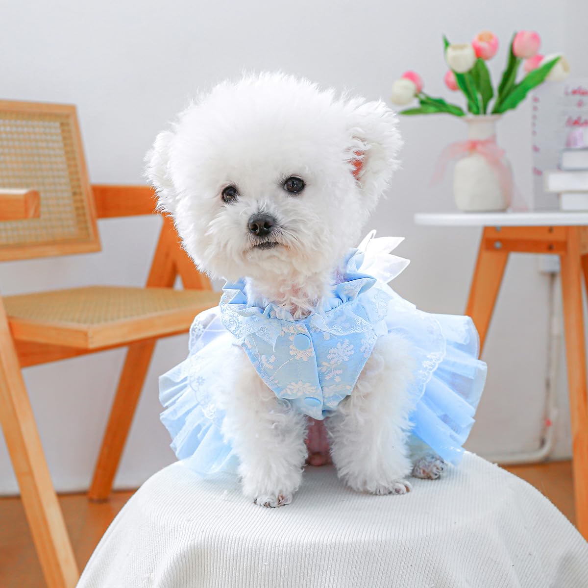 Marupet Fashion Sweet Puppy Dog Blingbling Princess Skirt Pet Dog Lace Cake Camisole Tutu Dress F-Blue S