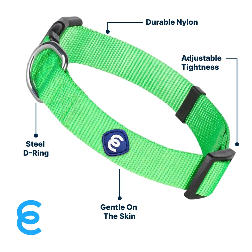 Blueberry Pet Essentials Dog Collar | Adjustable Girl Dog Collars For Medium Dogs | Neon Green Puppy Collar | Classic Nylon Dog