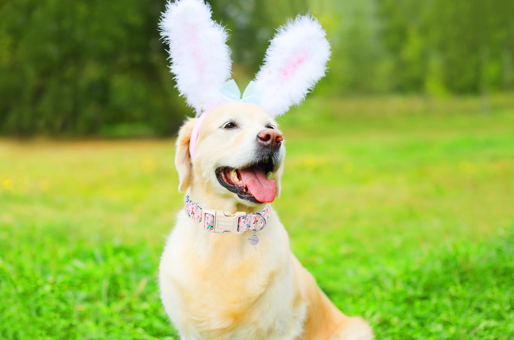 Dogwong Easter Rabbit Dog Collar, Colorful Egg Dog Collar Soft Durable Adjustable Comfortable Cute Easter Puppy Collar For Small