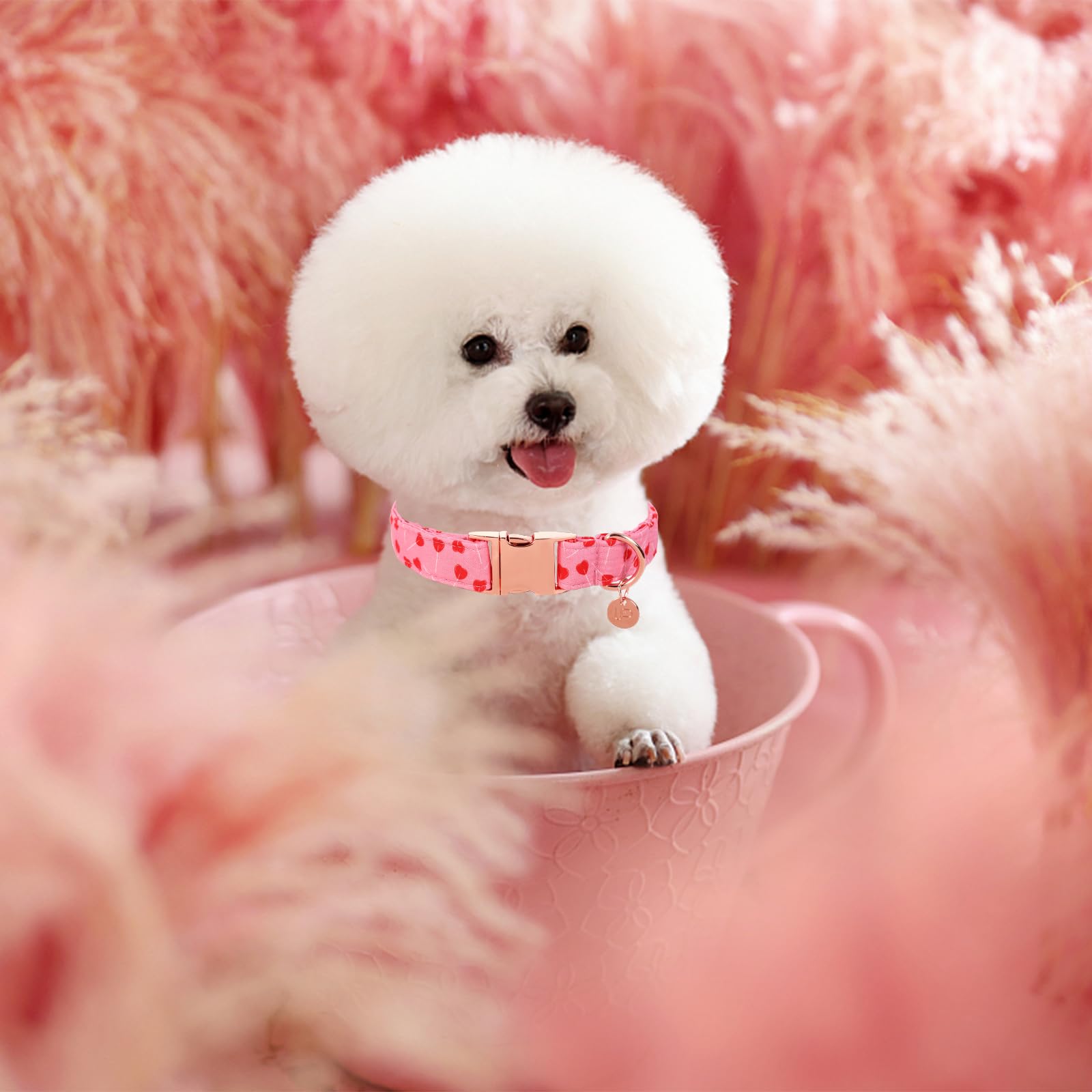 Up Urara Pup Valentine'S Dog Collar, Pink Heart Pattern, Adjustable Size (10-16 Inches), Premium Cotton, Sturdy Metal Buckle, Pe