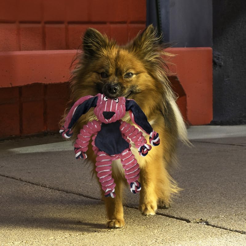 KONG Floppy Knots Dog Toy Bundle for Small/Medium Dogs - Durable Plush Toys with Internal Knotted Ropes & Squeakers - Minimal St