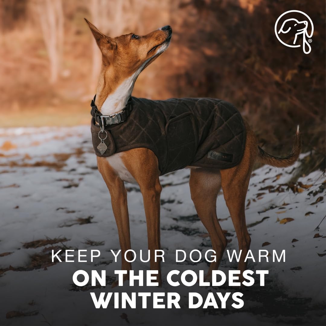 Embark Pets Wax Dog Jacket - Dog Coats To Keep Cozy On Colder Winter Days, Made From Cotton & Polyester, Water Resistant Dog Jac