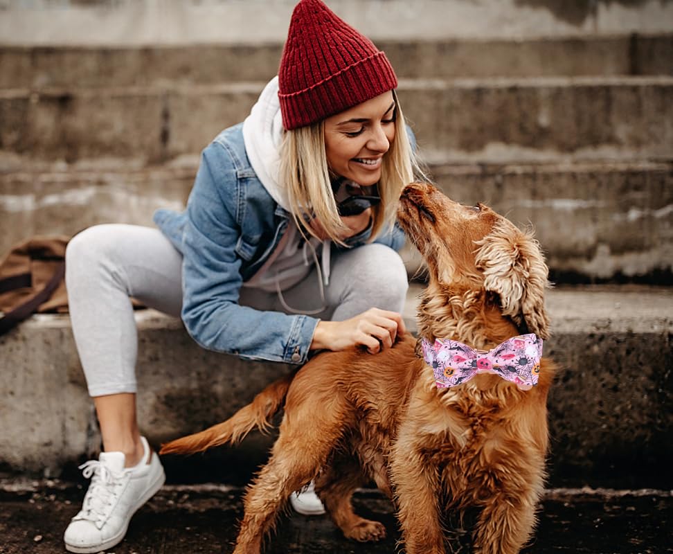 Dogwong Fall Dog Collar With Bowtie - Pink Fall Dog Collar Soft Cotton Autumn Dogs Necklace - Halloween Puppy Necklace For Small