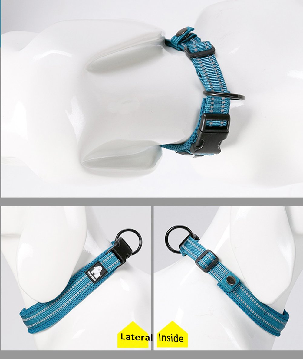 Creation Core Reflective Nylon Dog Collar And Training Leash Set For All Season Padded Durable Adjustable, Blue Xl