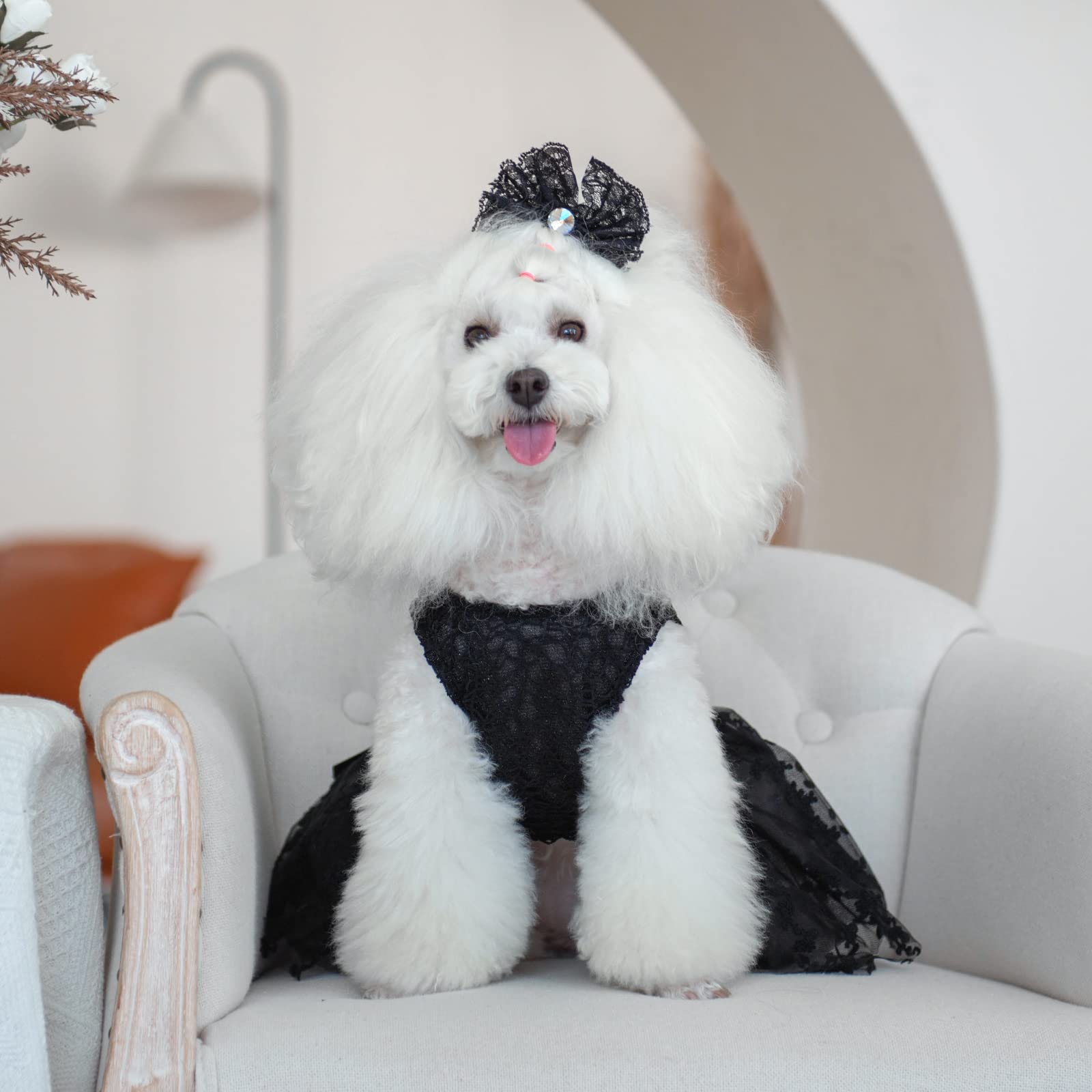 Cutebone Luxury Black Dog Dress Outfit Puppy Skirt Shining Embroiderd Tutu With Bowknot Pet Clothes Girl For Wedding Birthday Party Cat Apparel Dd15S