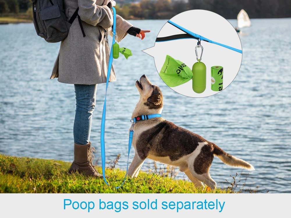 Taglory Nylon Dog Leash 6Ft, Soft Padded Handle Pet Reflective Leashes For Medium Large Dogs Walking & Training, Sky Blue
