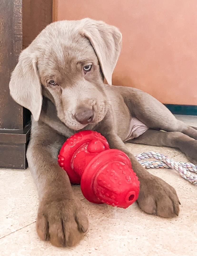 100% Natural Rubber Hydrant Small