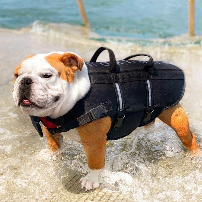 Max Bone Sport Life Jacket Black Xxl