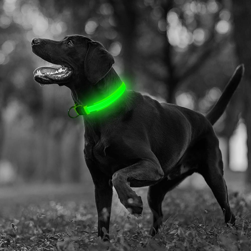 Illumifun Light Up Dog Collar, Usb Rechargeable Led Dog Collars Glow In The Dark, Reflective Glowing Safety Collar Light For Your Large Dogs Walk At Night (Greenⅲ, Large)