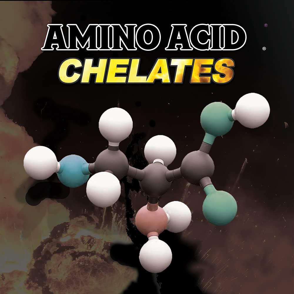 SOLID FUEL - Performance Horse Supplement - Vitamins, Minerals & Amino Acids for Adrenal Support & Endurance