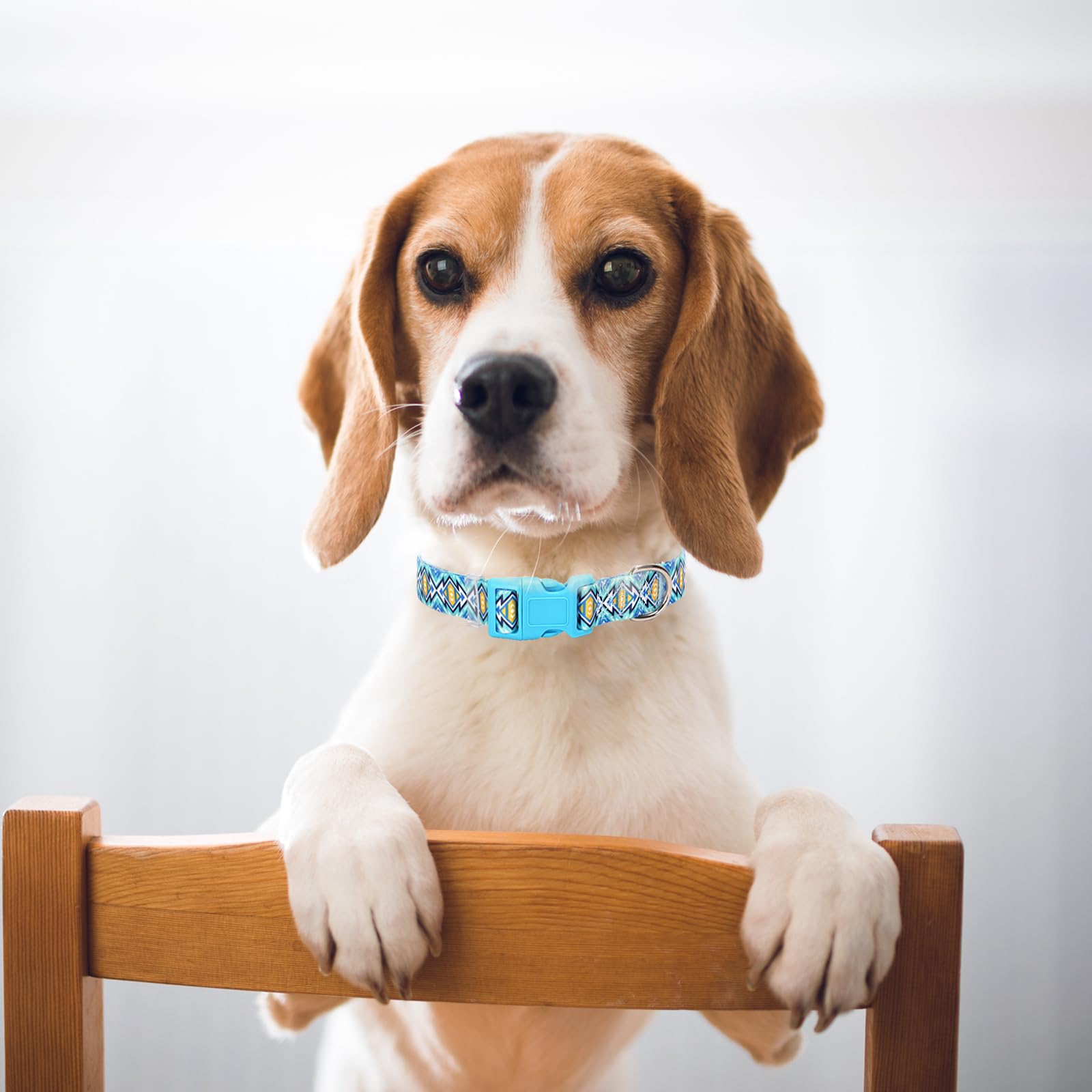 Dog Collar For Large Dogs With Blue African Tribal Boho Pattern, Adjustable Soft Pet Collar With Buckles For Boy Puppy Dogs Smal