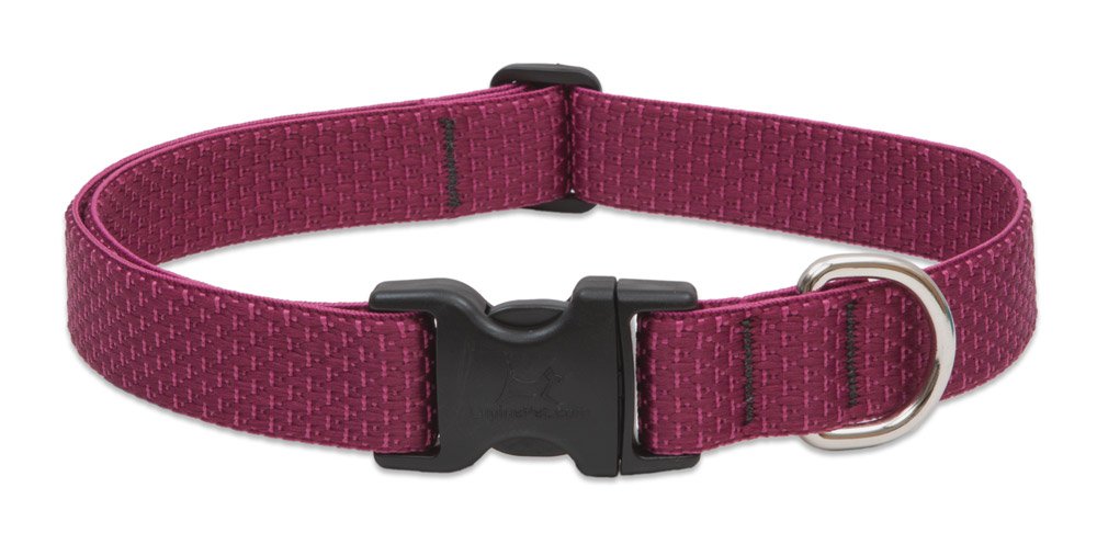 Eco By Lupine 1-Inch Recycled Fiber Collar, Adjustable For 12 To 20-Inch Medium To Large Dogs, Berry