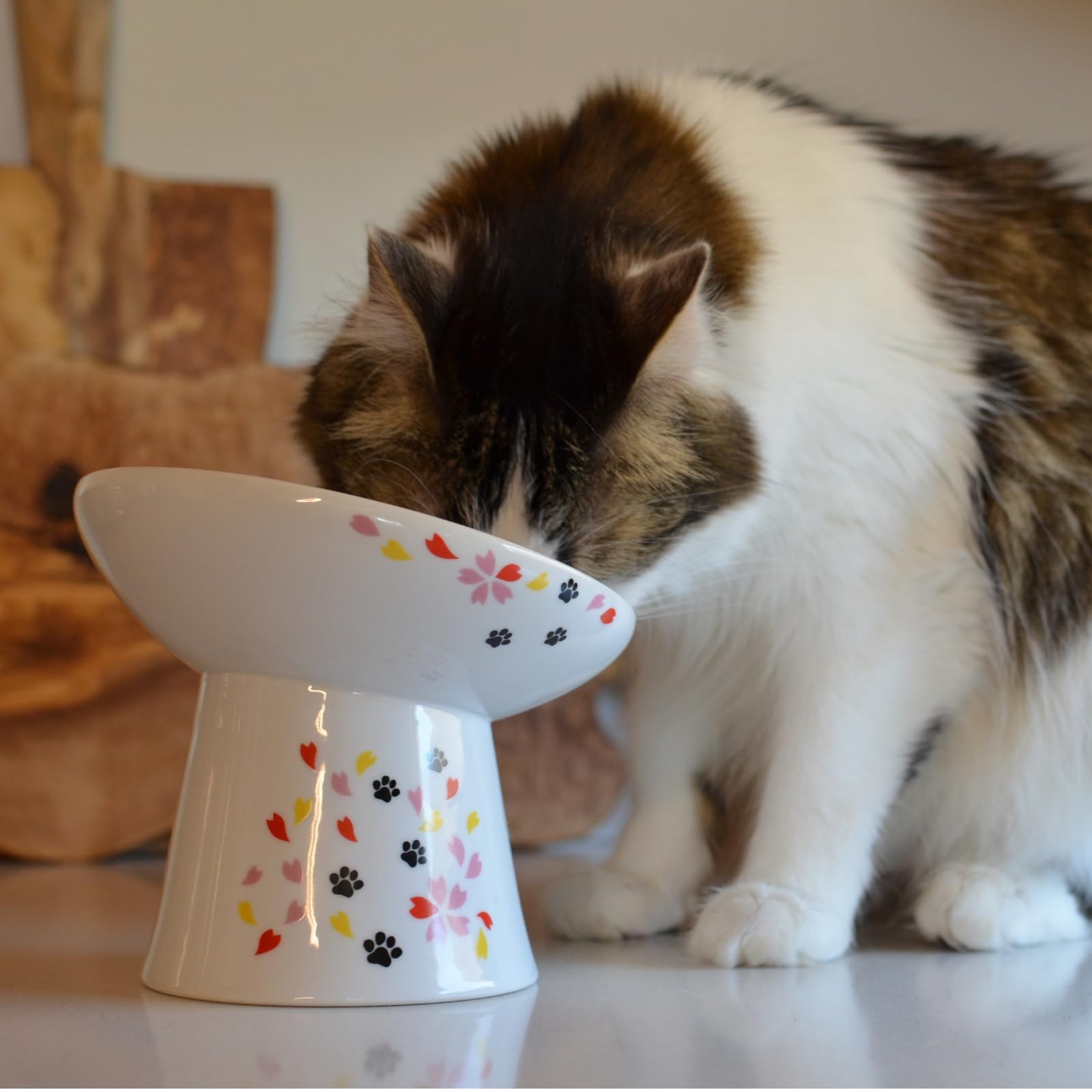 Necoichi Raised Cat Food Bowl - Ceramic Elevated 15 Tilted Cat Bowl for Whisker & Neck Fatigue, Dishwasher Microwave Safe - Non-