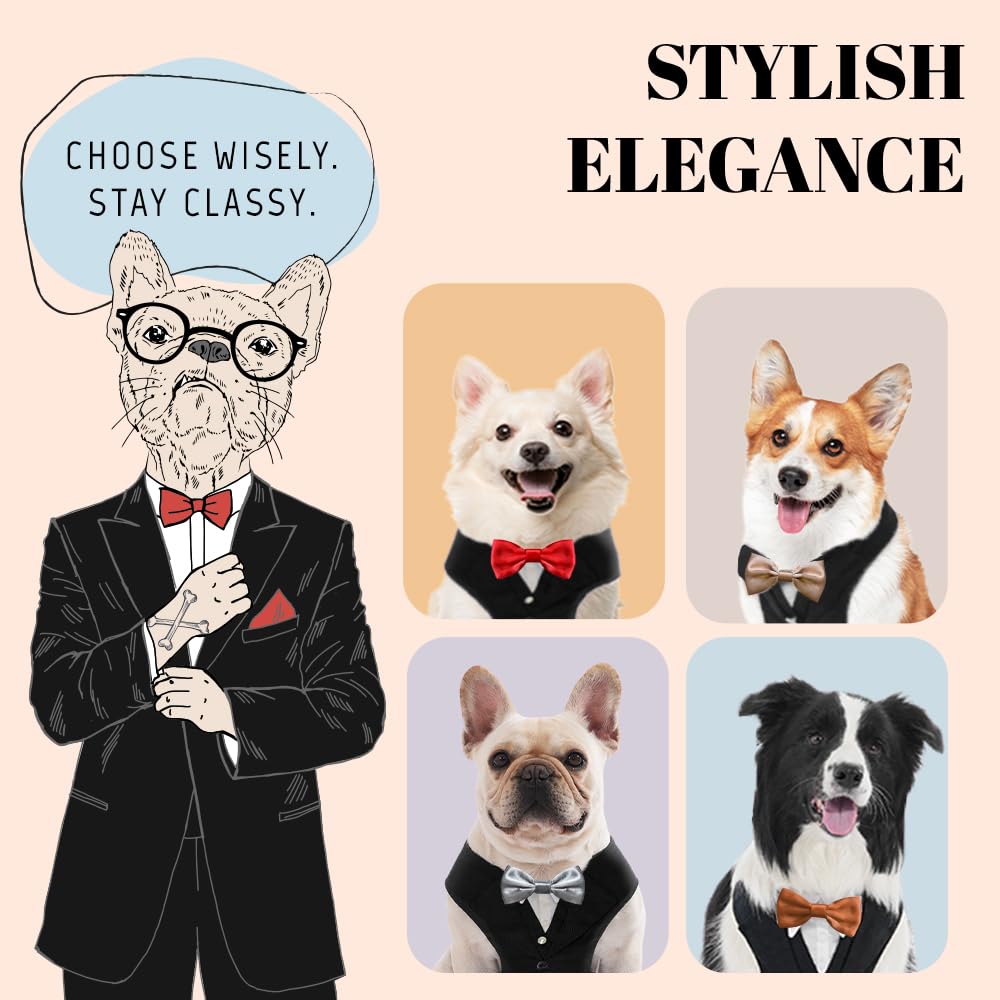 AVERYDAY Dog Tuxedo Suit with Bowtie, Large (L), Blue Tux & Champagne Tie, Polyester, Model DTX-002, Perfect for Weddings & Parties