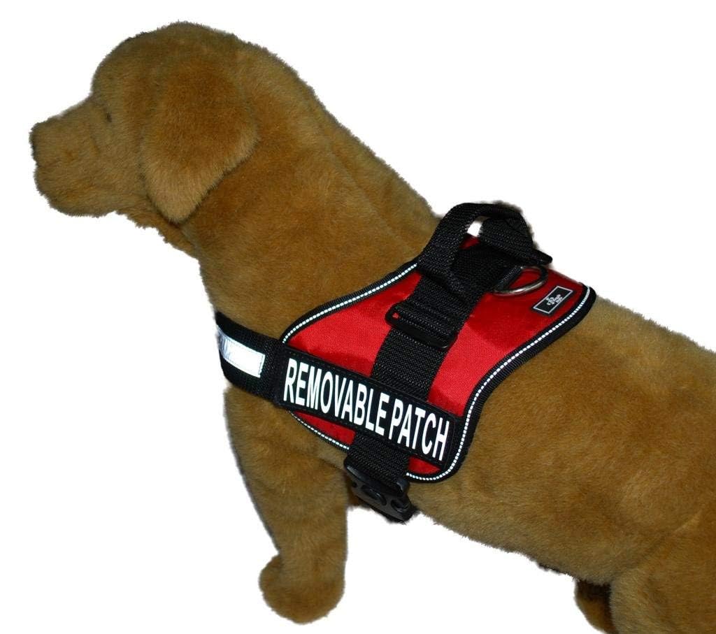 Doggie Stylz In Training Service Dog Harness With Removable Saddle Bag Backpack Pack Carrier Traveling Carrying Bag. 2 Removable In Training Patches. Please Measure Dog Before Ordering. Made