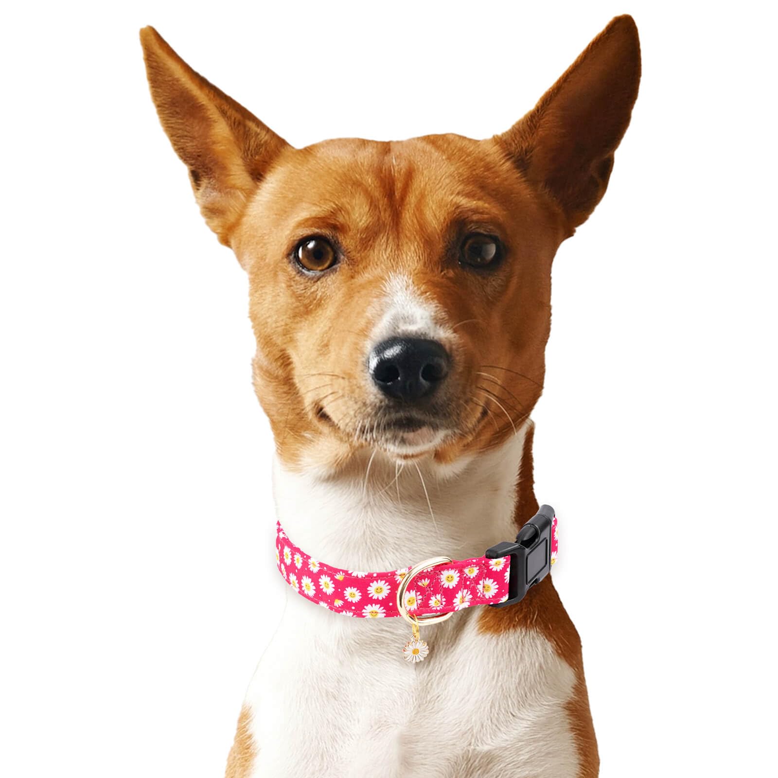 Gelwoo Cotton Dog Collar,Soft and Cute Puppy Collars with Flower Patterned Design for Girl Female Boy Dogs,Adjustable Buckle Pet