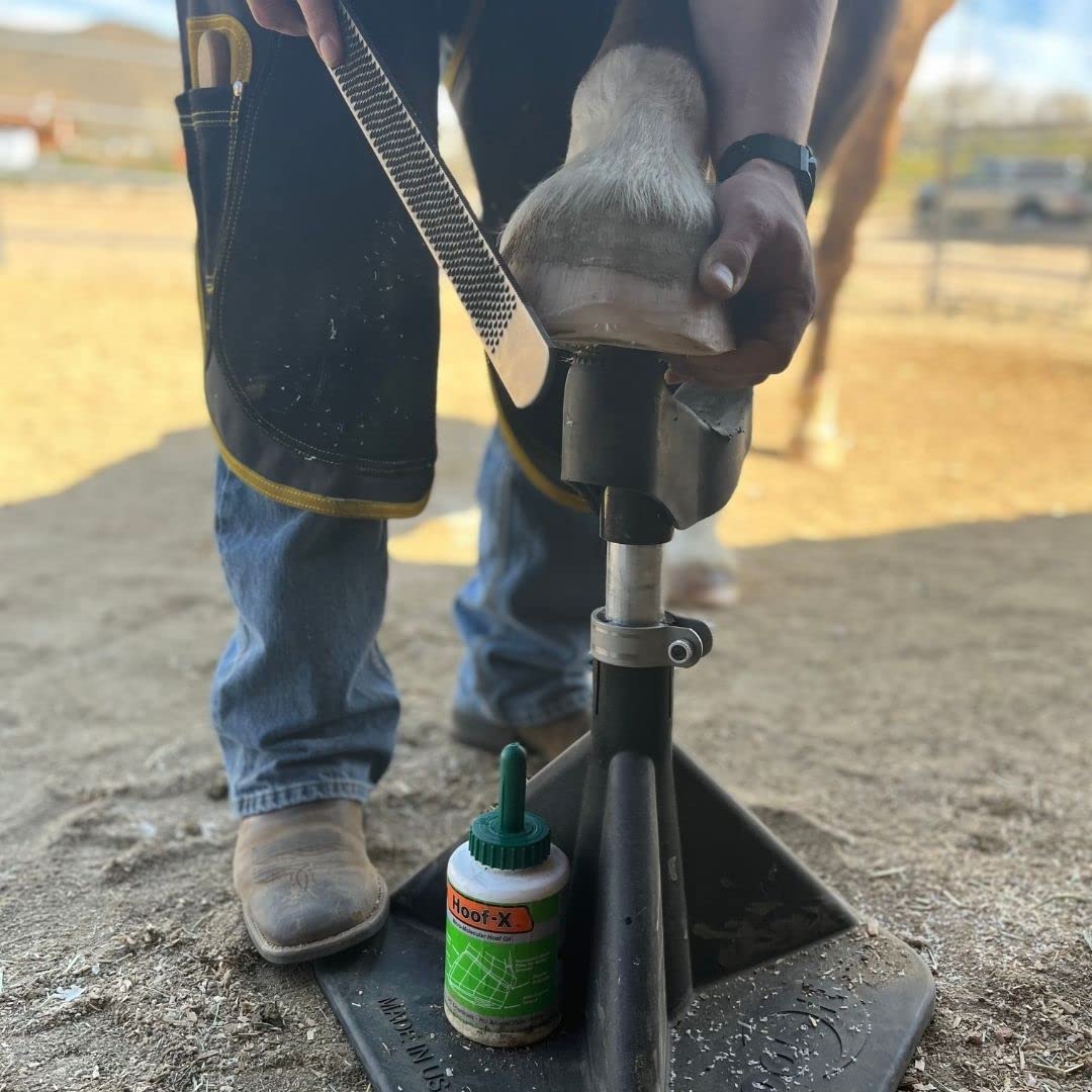 HOOF-IT Blacksmith Farrier Horse Hoof Stand - Standard Size, Black, Model HI-BS-BLK