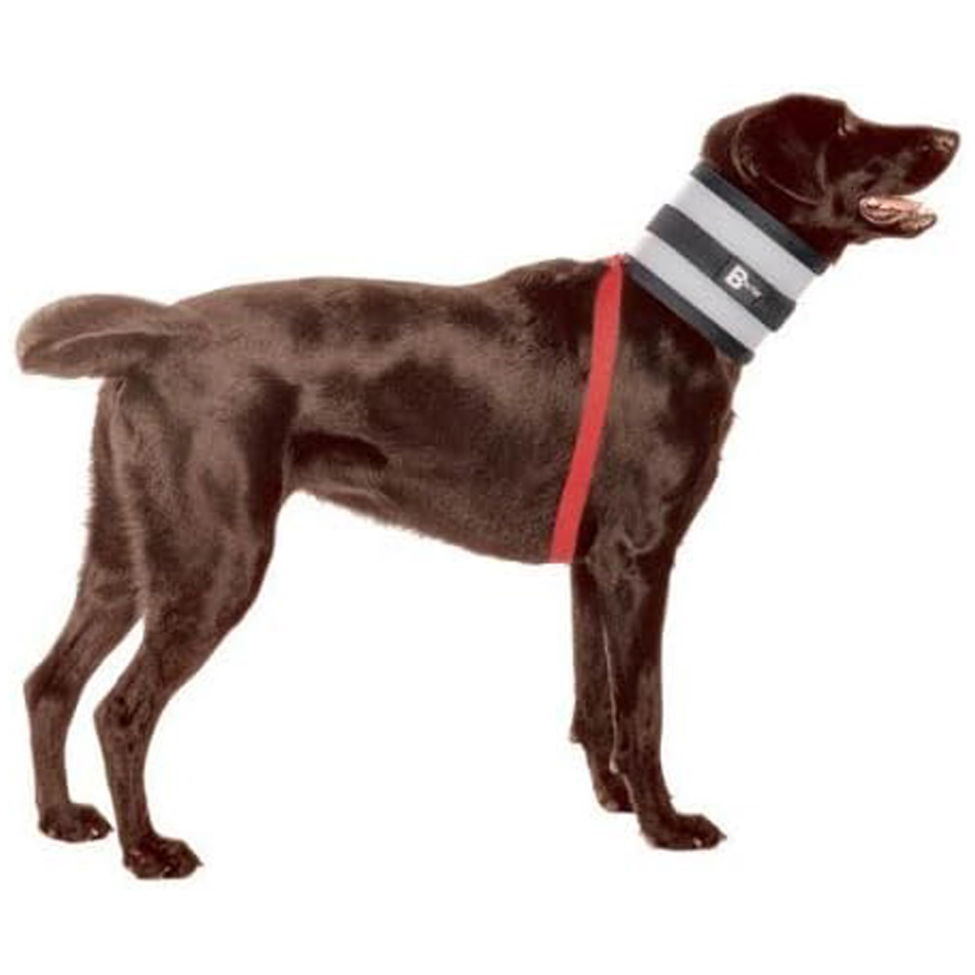 Bitenot Collar, 6'' W X 27'' L