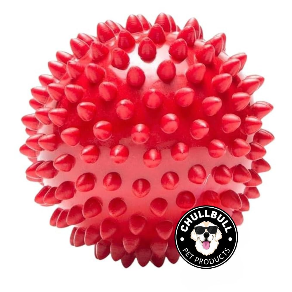 Chullbull Pet Products Natural Rubber Spike Ball 7cm | Suitable for Small to Medium Dogs and Puppies | Chewing, Teething, and Tr