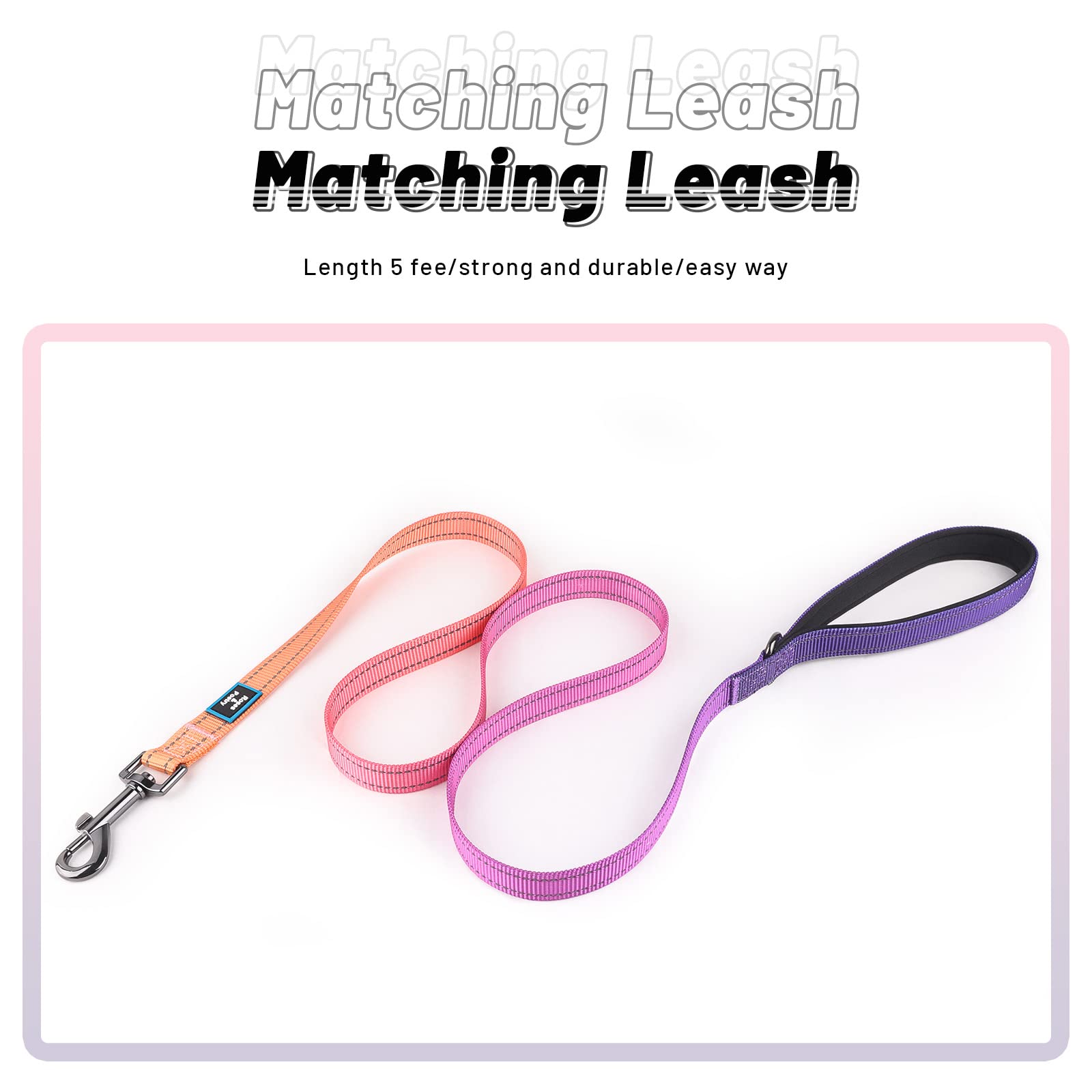 Roses&Poetry Puppy Dog Collar And Leash Set, Reflective Dog Leash For Small Dogs, Cute Matching Collars And Leashes Padded Adjus