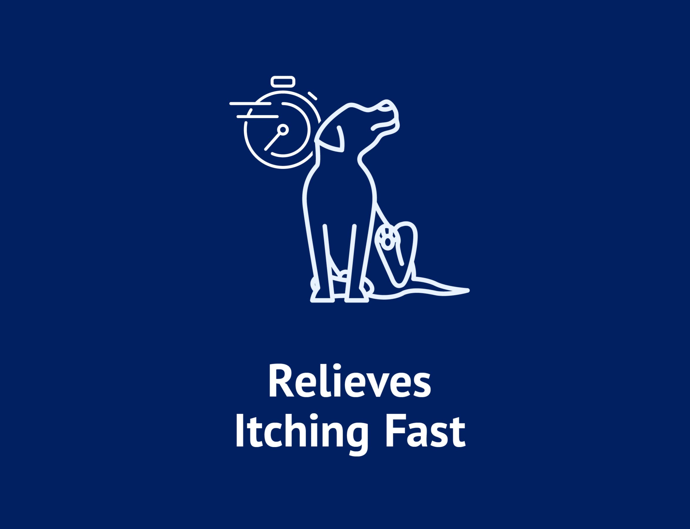 Naturel Promise Fresh & Soothing Oatmeal Itch Relief Shampoo For Pets, 22Oz - Fast Acting Oatmeal Shampoo For Dogs And Cats To Relieve Itchy Skin - Soap, Dye, & Paraben Free - Made In The Usa