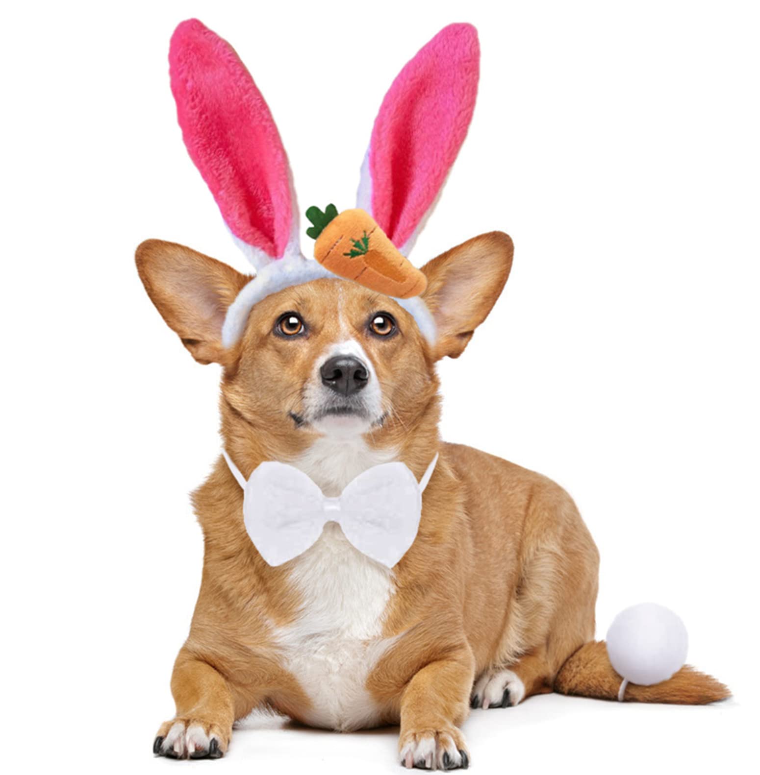 Dog Bunny Ears And Dog Easter Bow Tie, Pet Easter Outfit
