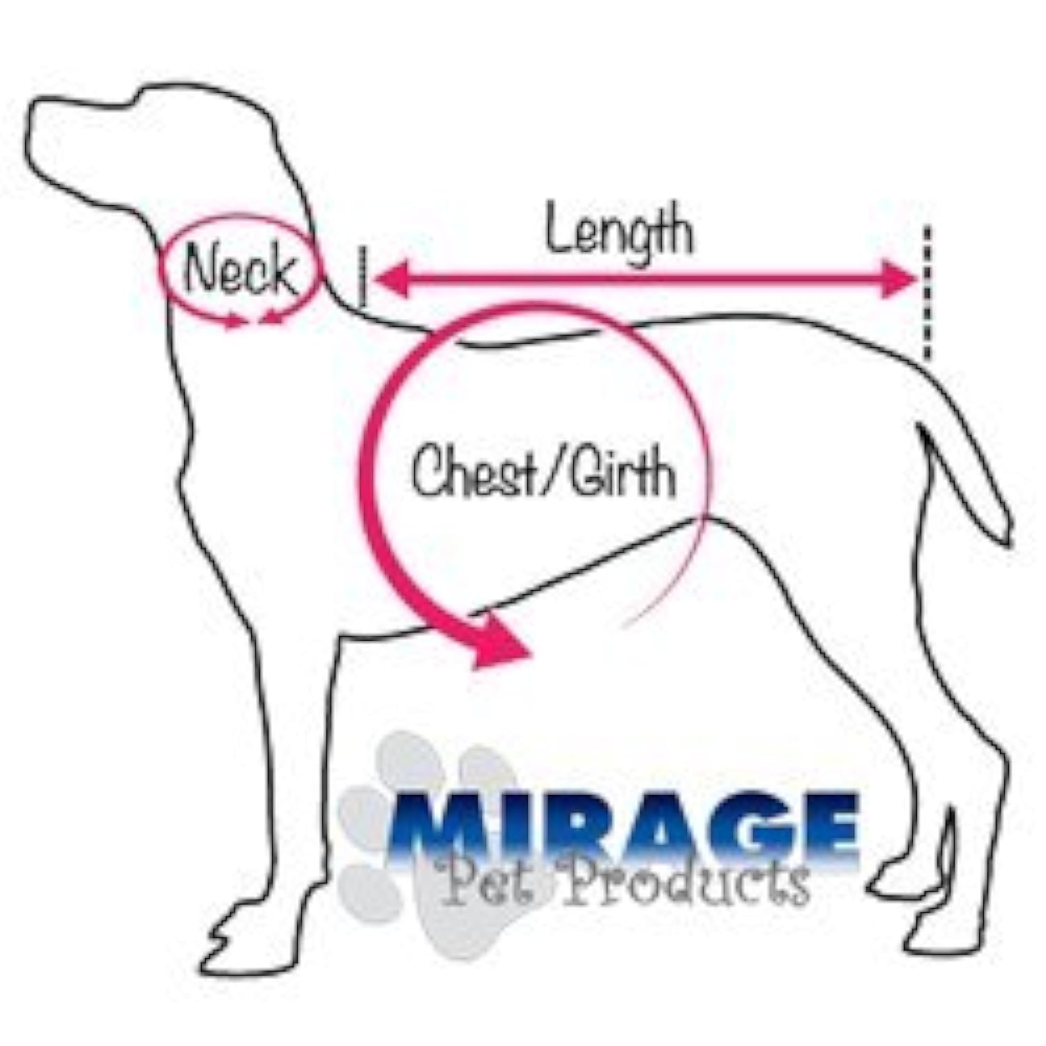 Dog, Puppy and Pet Fashion Collar, Premium Southwest Turquoise Pearl & Clear Crystals White 16