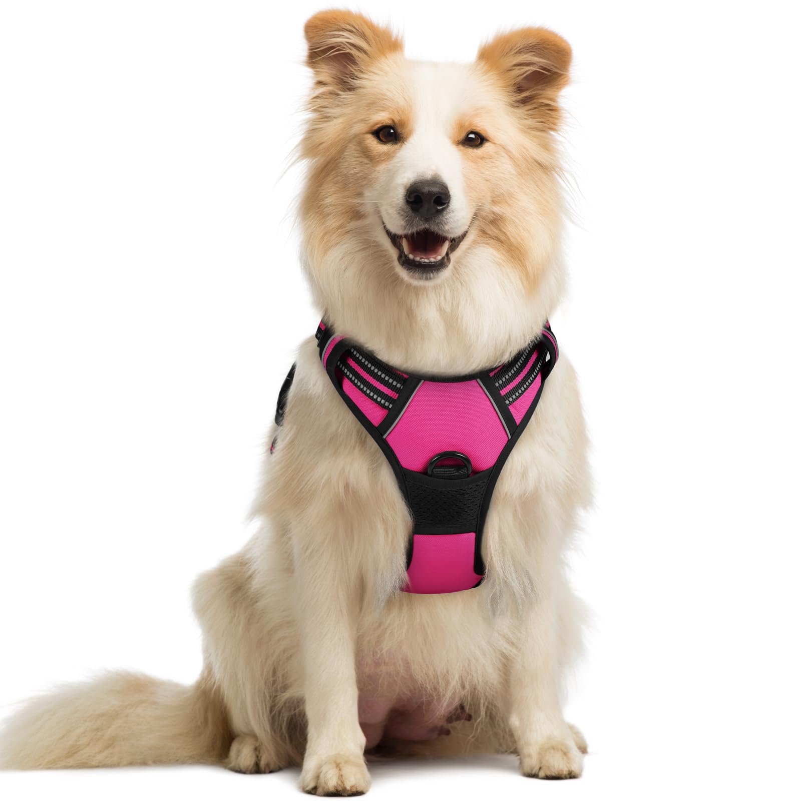 Rabbitgoo Dog Harness, No-Pull Pet Harness With 2 Leash Clips, Adjustable Soft Padded Dog Vest, Reflective No-Choke Pet Oxford Vest With Easy Control Handle For Medium Dogs, Hot Pink, M