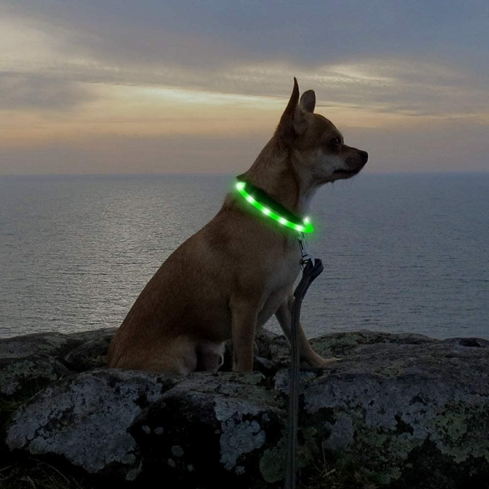 Higo Light Up Dog Collars - Rechargeable Led Dog Collar, Glowing Puppy Collar, Silicone Led Pet Collar, Flashing Dog Lights For Night Walking (Green)