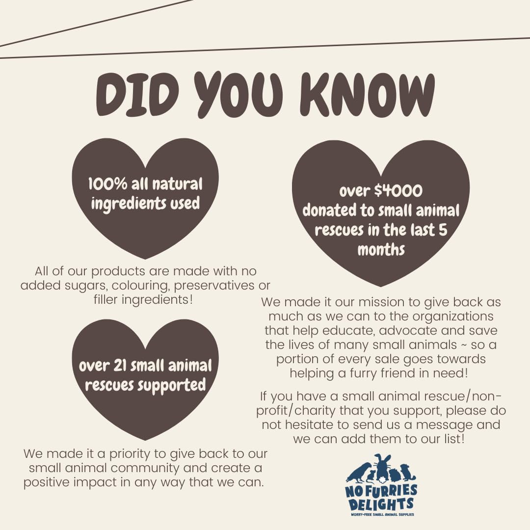 No Furries Delights Chews, 100% All Natural Flavoured Balsa Wood For Rabbit Hamster Guinea Pig Chinchilla Pet Rat Mice Gerbil Bi