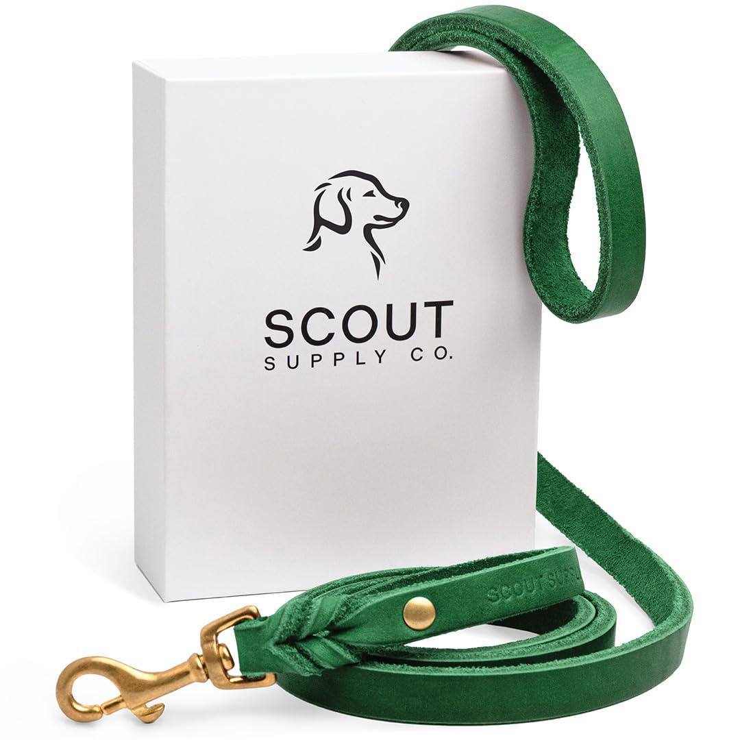 Scout Supply Classic Leather Dog Leash | Strong Heavy Duty Thick Full Grain Leather | Waterproof & Rust-Proof Brass Hardware (Gr
