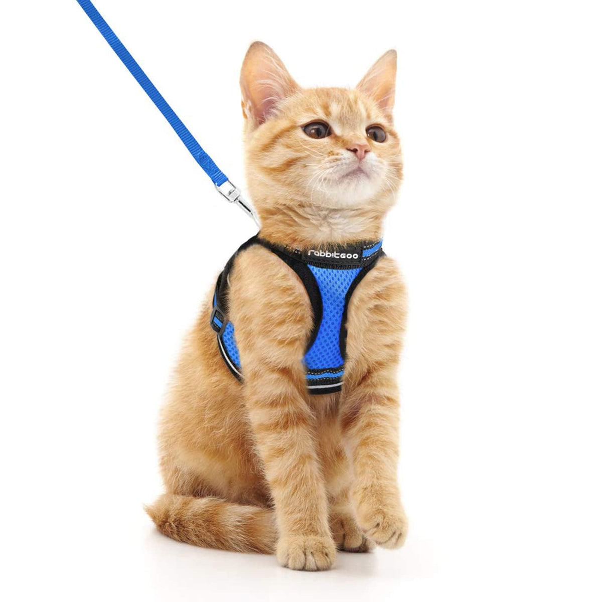 Rabbitgoo Cat Harness And Leash Set For Walking Escape Proof, Adjustable Soft Kittens Vest With Reflective Strip For Cats, Comfortable Outdoor Vest, Blue, M