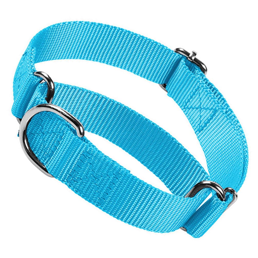 Dog Collar Martingale, Escape Proof Dog Choke Collar No Pull Cinch Dog Training Collars Adjustable For Small Medium Large Breed 