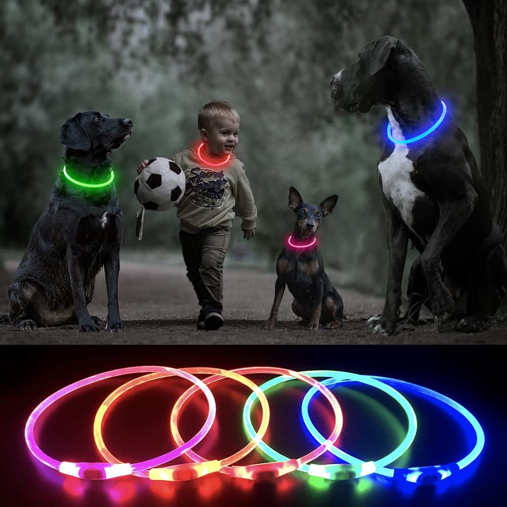 Higo LED Dog Collar - Rechargeable Light Up Safety Necklace, Red, 1 Count, Durable Thermoplastic Polyurethane for Nighttime Walking