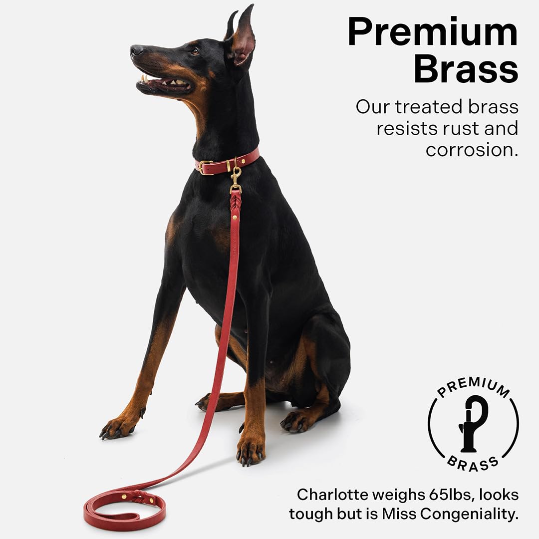 Scout Supply Classic Leather Dog Leash | Strong Heavy Duty Thick Full Grain Leather | Waterproof & Rust-Proof Brass Hardware (Re