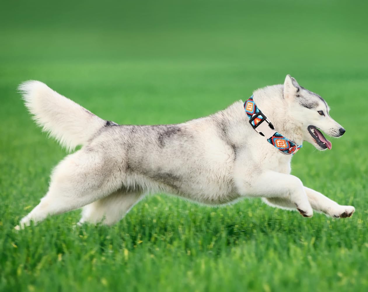 Boy Dog Collars For Small Medium Large Xl Dogs, Western Aztec Tribal Quick Release Buckle Metal Clasp Cool Basic Male Pet Collar