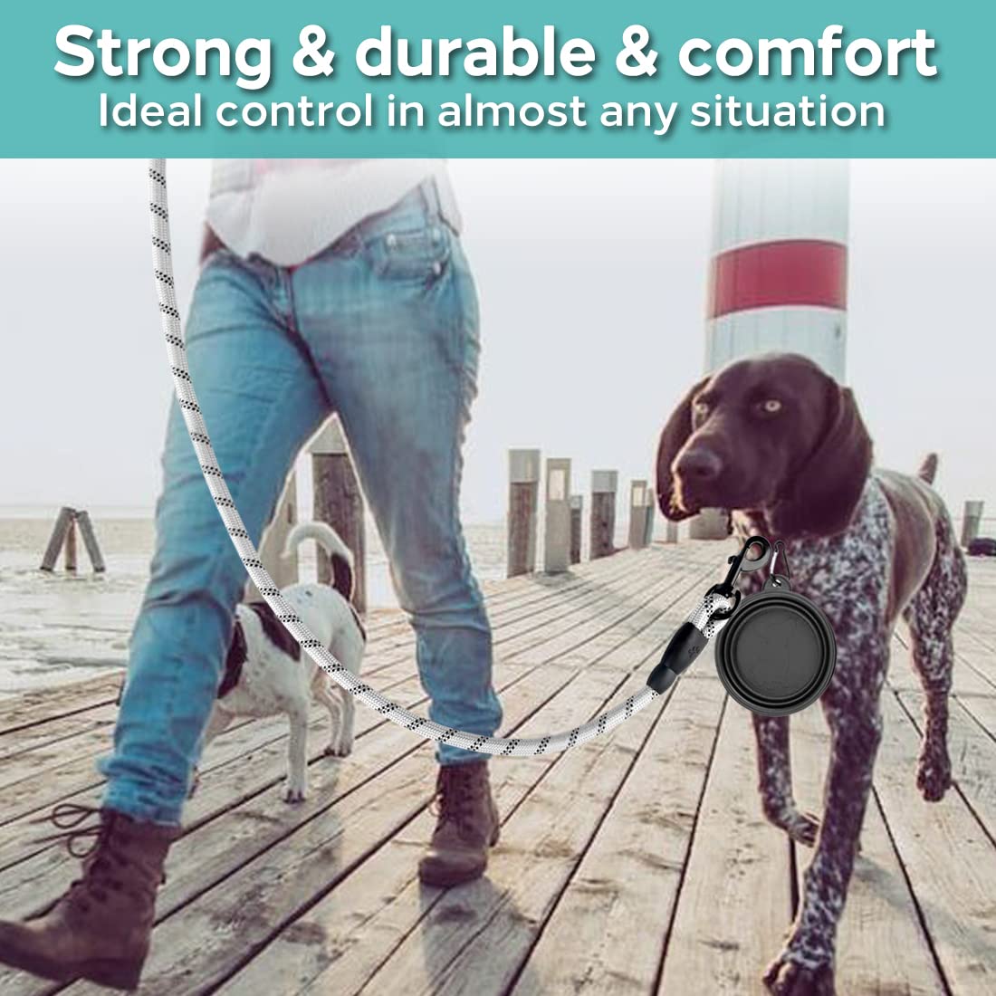 COOYOO 2 Pack Heavy Duty Dog Leash 6 FT with Padded Handle, Reflective, for Medium Large Dogs, Black+Silver