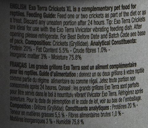 Exo Terra Canned Crickets XL Specialty Reptile Food