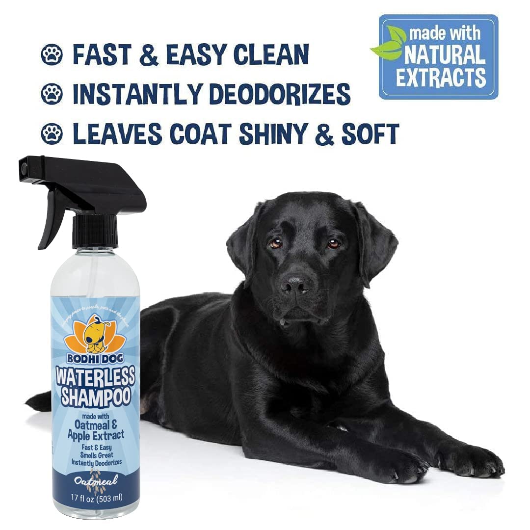 Bodhi Dog Waterless Shampoo - Natural Dry Shampoo For Dogs & Cats - Neutralizes Pet Odor - No Rinse Required - Made Of Natural E