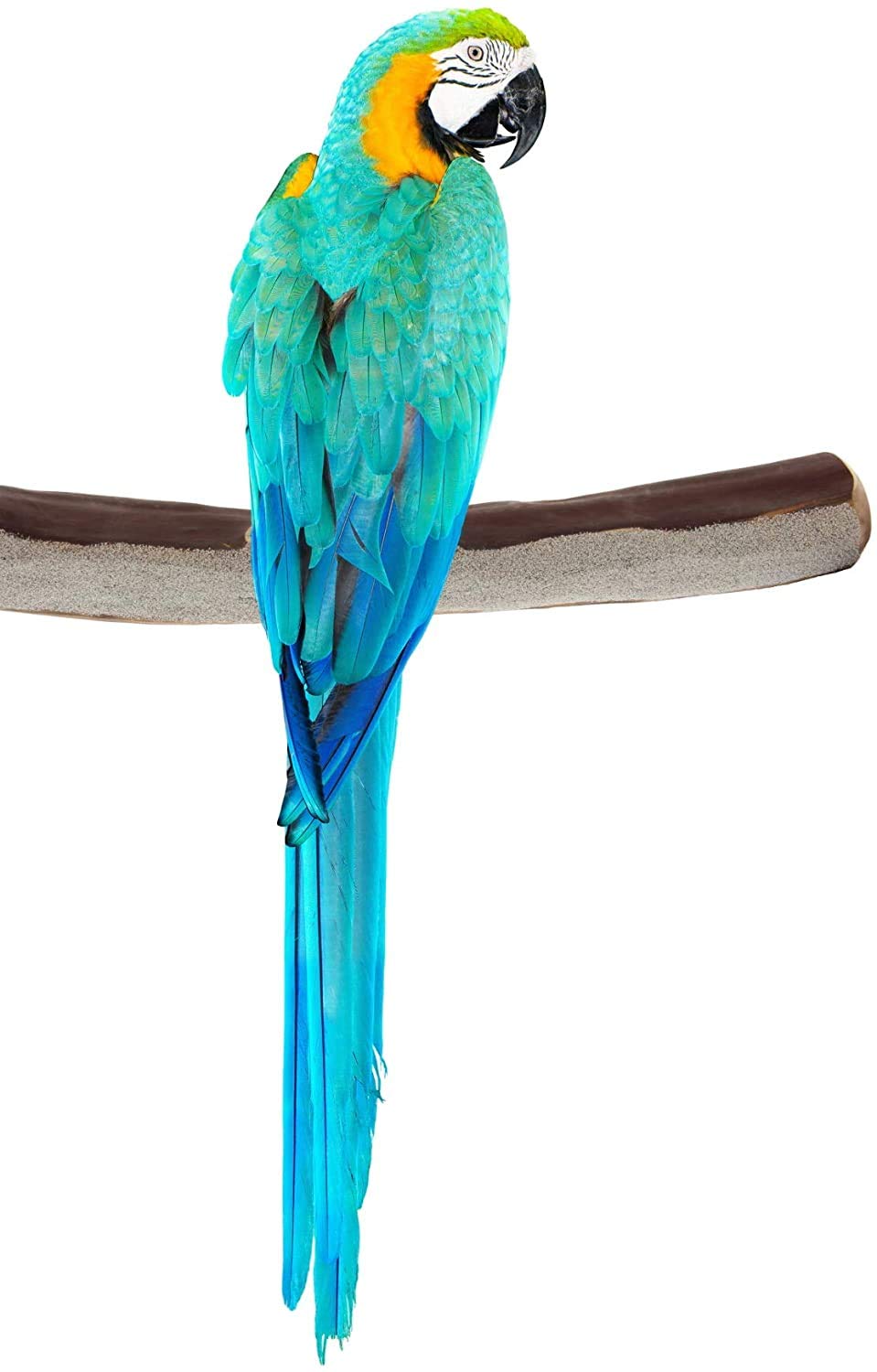 Sweet Feet And Beak Superoost Manzanita Pumice Pedicure Perch- Easy To Install Bird Cage Accessories For Healthy Feet, Nails And