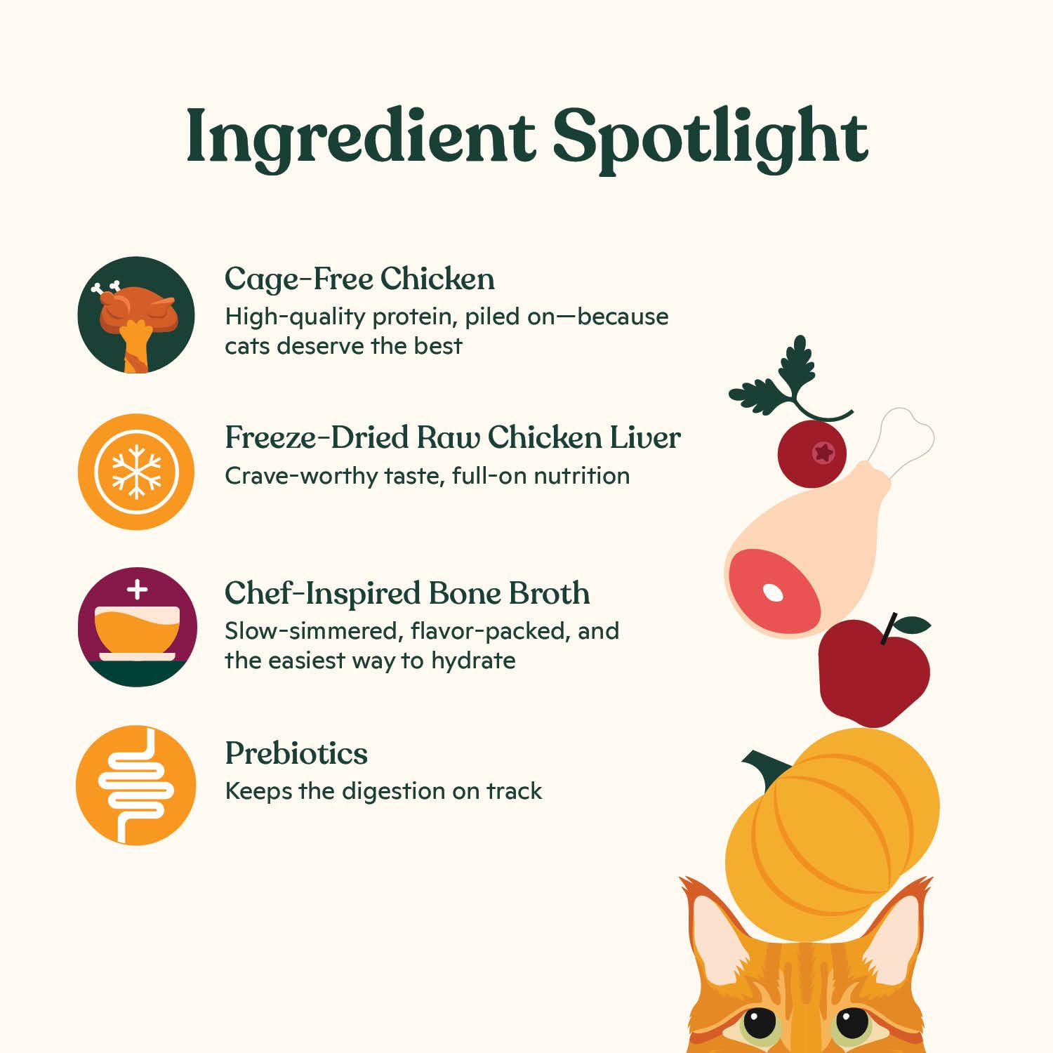 Made by Nacho Dry Cat Kibble 4lb Bag, High Protein Premium Cat Food with Freeze Dried Pieces, Cage-Free Chicken & Duck, Limited