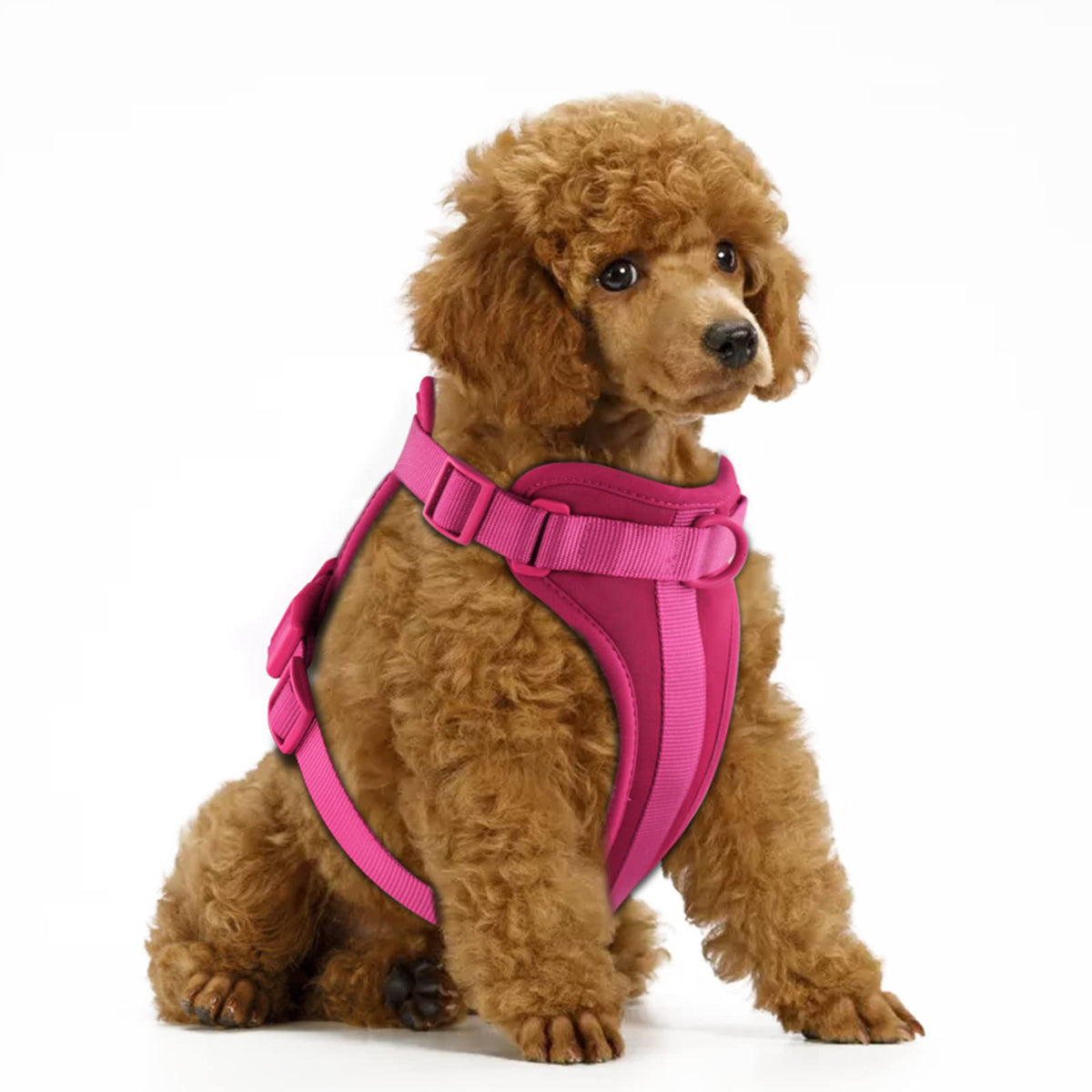 Wisedog No Pull Lightweight Dog Vest Harness With Soft And Comfortable Cushion, Breathable Mesh, For Small Medium Large Dogs Walking (S(Neck: 9.84'-14.17';Chest: 14.17'-22.05'), Peacock Pink)