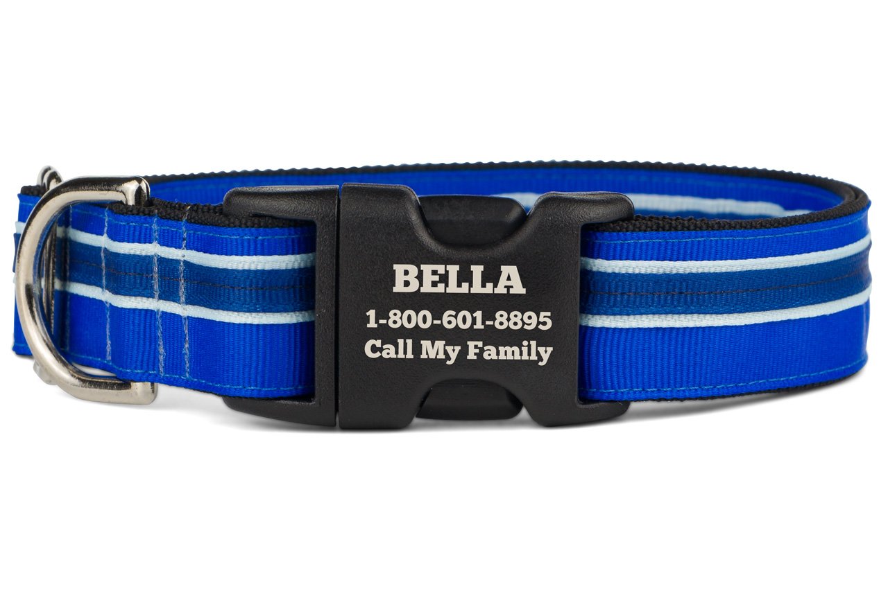 If It Barks Personalized 1 Striped Dog Collar - Engraved Name - Custom Size, Blueberry