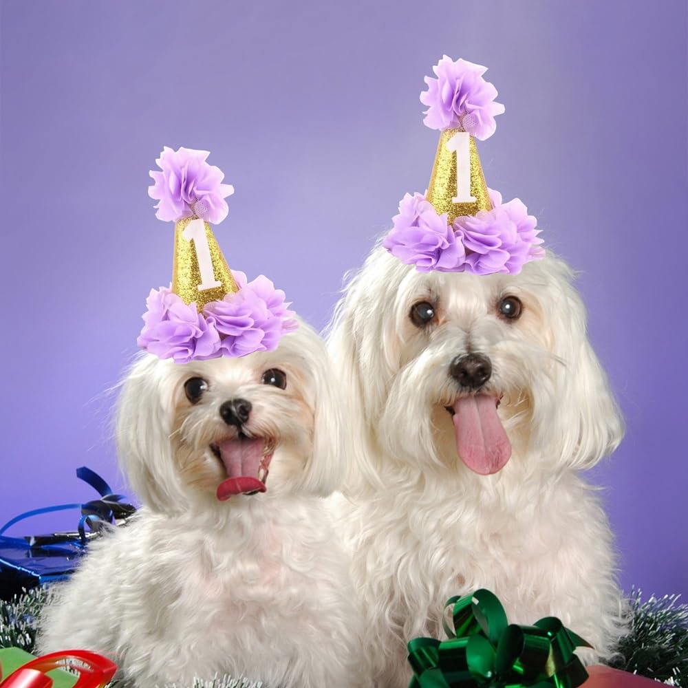Stock Show 1St Pet Birthday Cone Hat Dogs Cats Holiday Party Hat Headwear Costume With Flowers Accessories And Adjustable Headband For Small Medium Dogs Cats Pets Baby, Purple