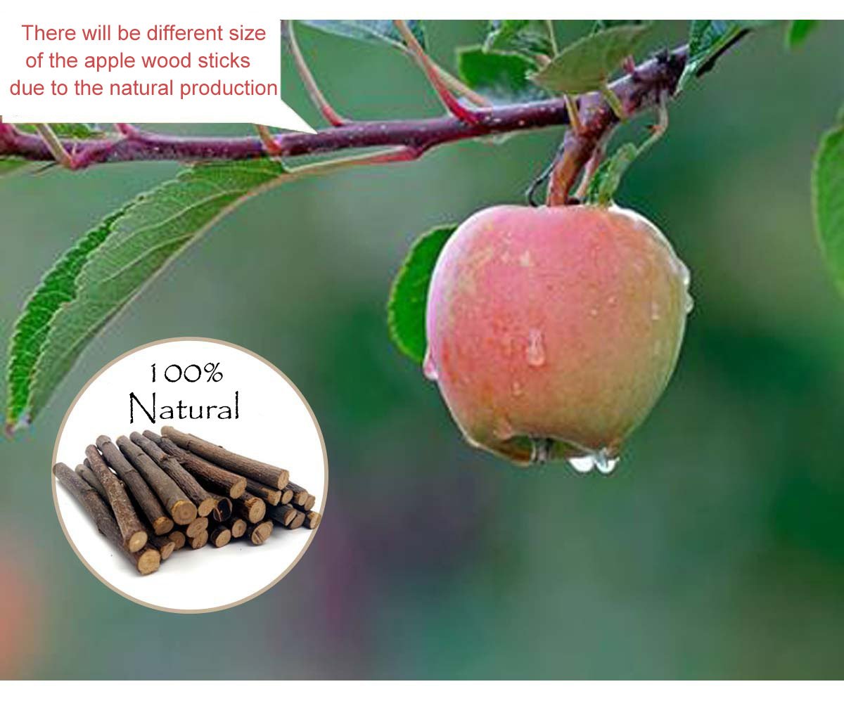 Organic Apple Sticks for Rabbits Wood Tree Branches Pet Snacks Chew Toys Branch for Guinea Pigs Chinchilla Squirrel Bunny Hamste